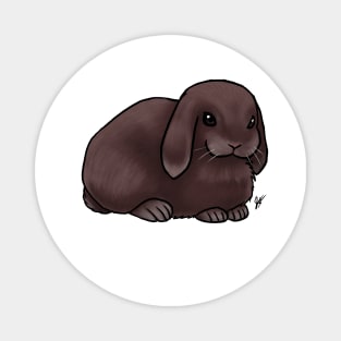 Small Mammal - Rabbit - Holland Lop Brown Magnet